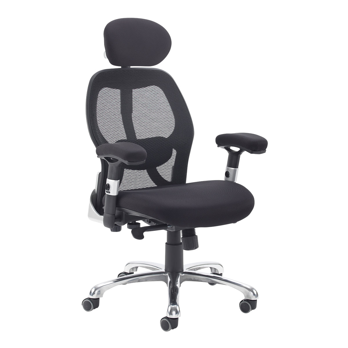 Sandro mesh back executive chair with black air mesh seat and head rest - view 1