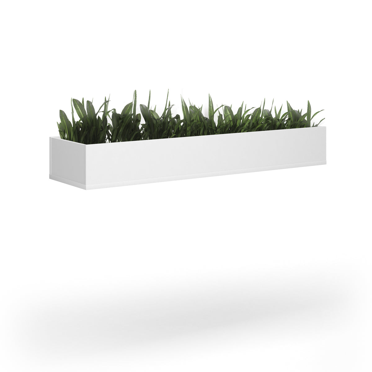 Wooden planter 1600mm wide to fit on side-by-side wooden lockers - white - view 2